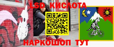 spice Кимры