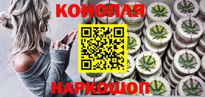 круглые Кингисепп