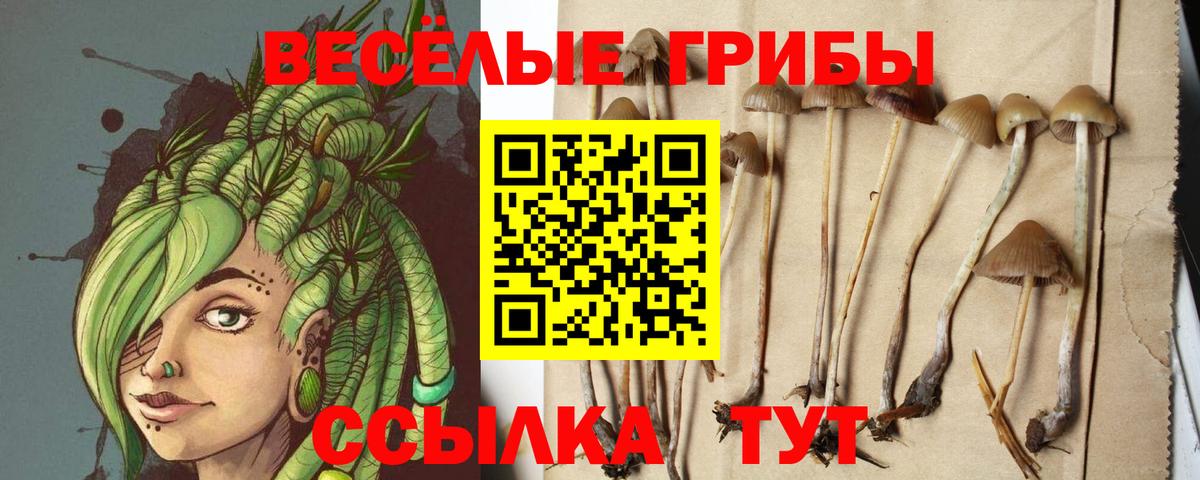 Галлюциногенные грибы Cubensis  Вход с VPN  Фрязино  Псилоцибиновые грибы ЛСД 